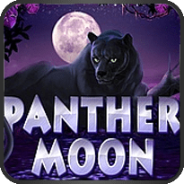 Panther Moon